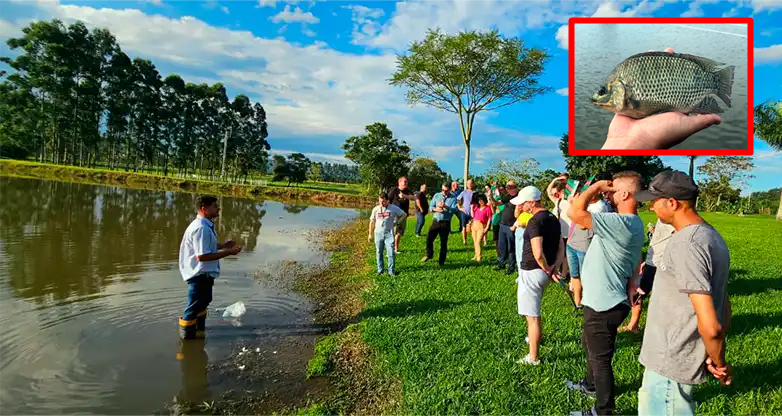 piscicultura, Curso gratuito de piscicultura