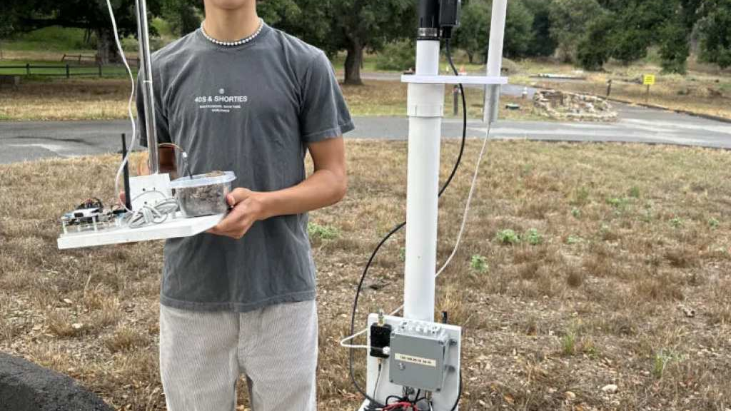 Incêndios florestais, Dispositivo inovador, detecção de incêndios, incêndios