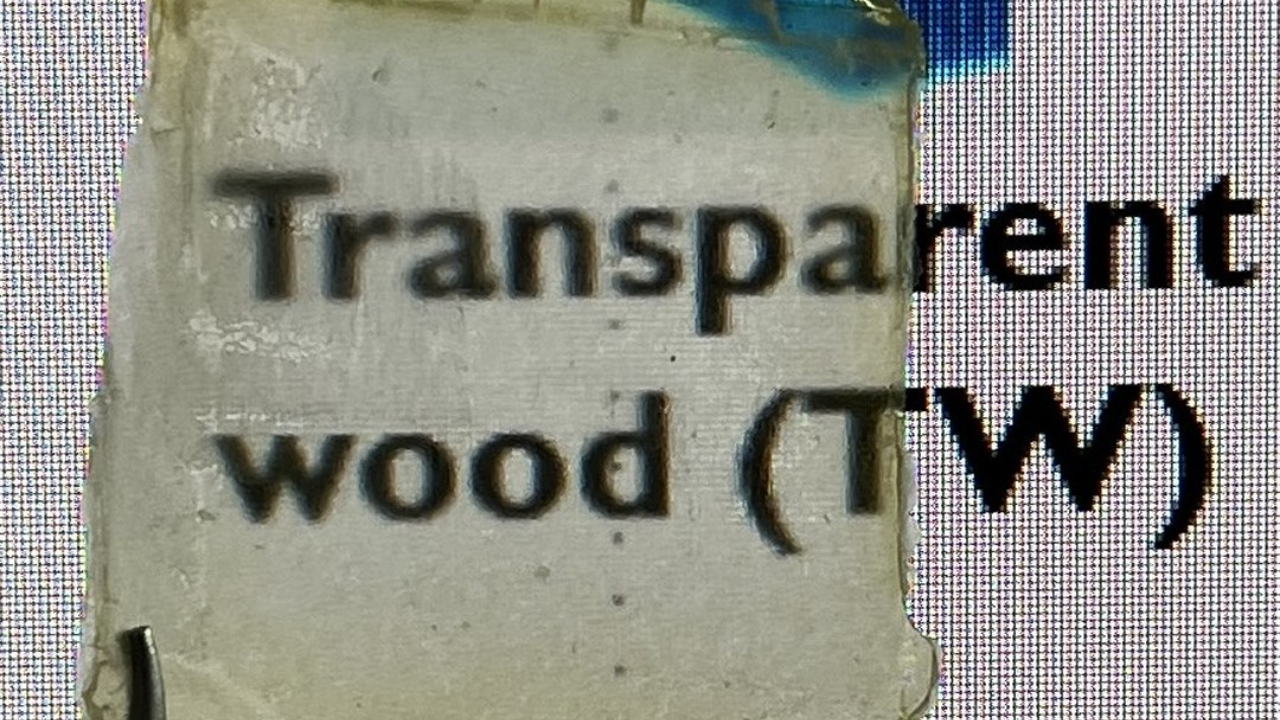 Pesquisadores desenvolveram madeira transparente sustentável usando clara de ovo e arroz, tornando-a ecológica, resistente e eficiente, com potencial para substituir o vidro em diversas aplicações.