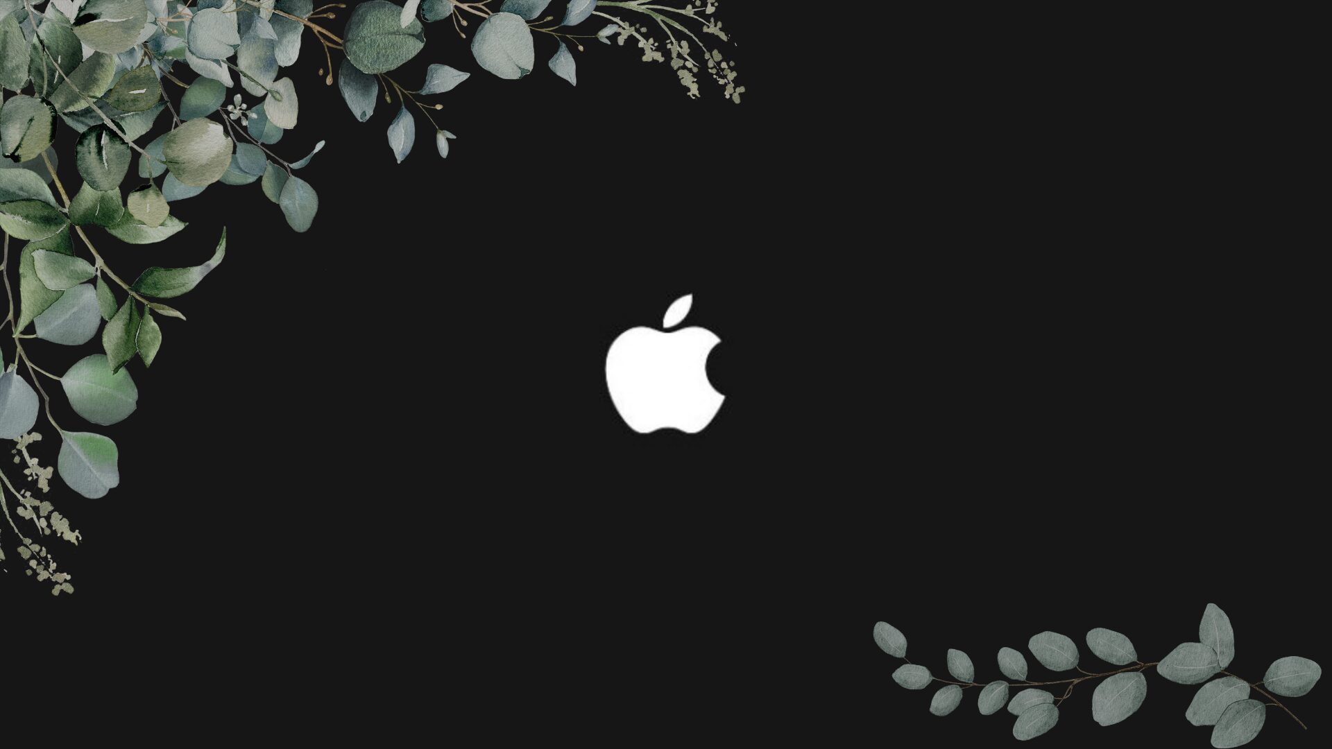 apple - créditos de carbono - meta climática - eucalipto