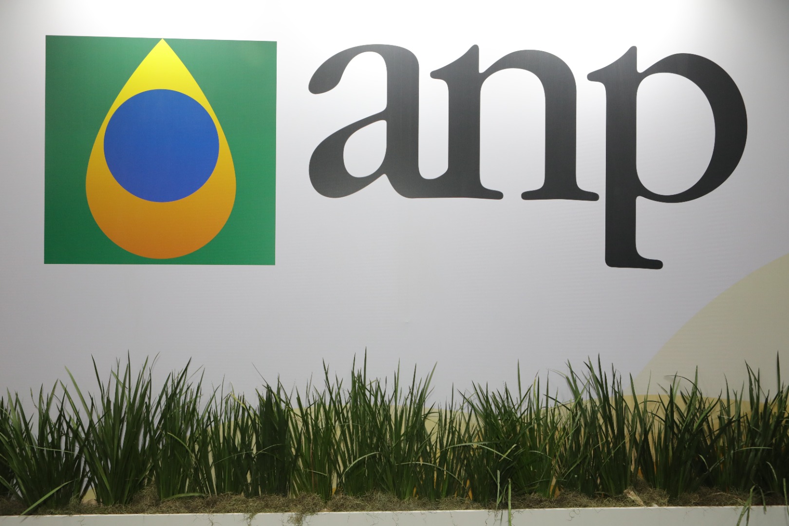 Logotipo da ANP em painel institucional com decoração natural