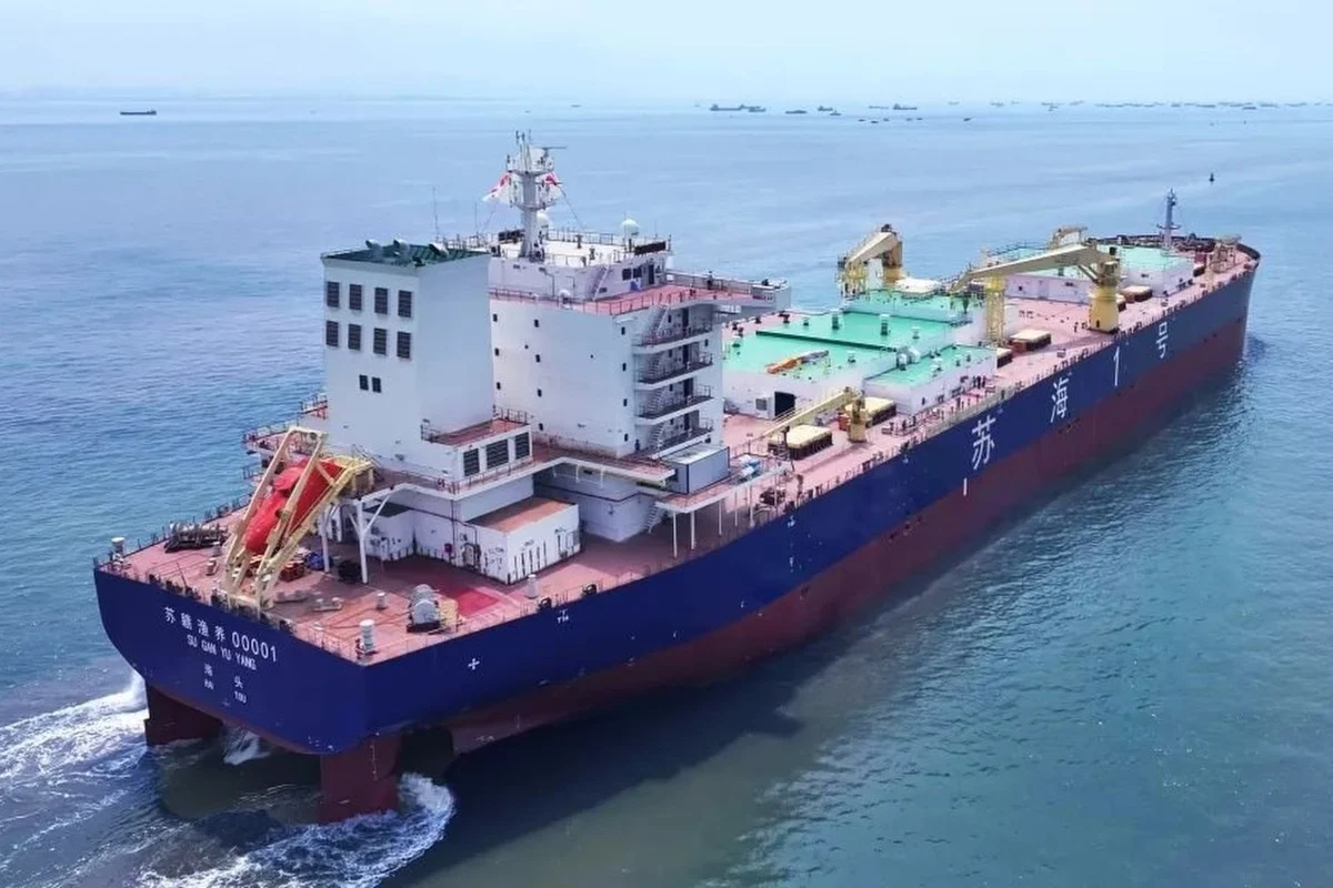 criação de salmão