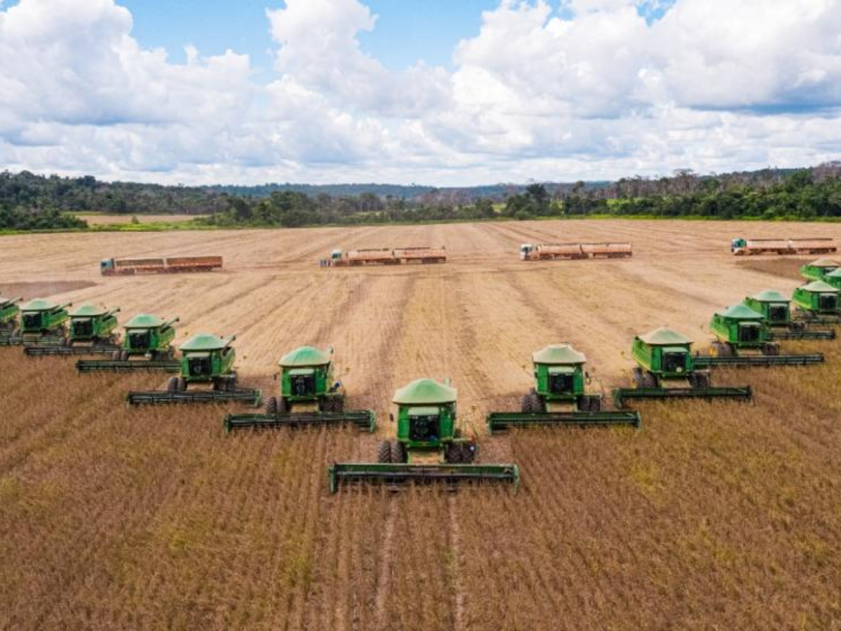 Conheça a Bom Futuro, uma enorme fazenda em Mato Grosso com mais de 650 mil hectares. Descubra sua produção, inovação e o legado da família Maggi Scheffer.