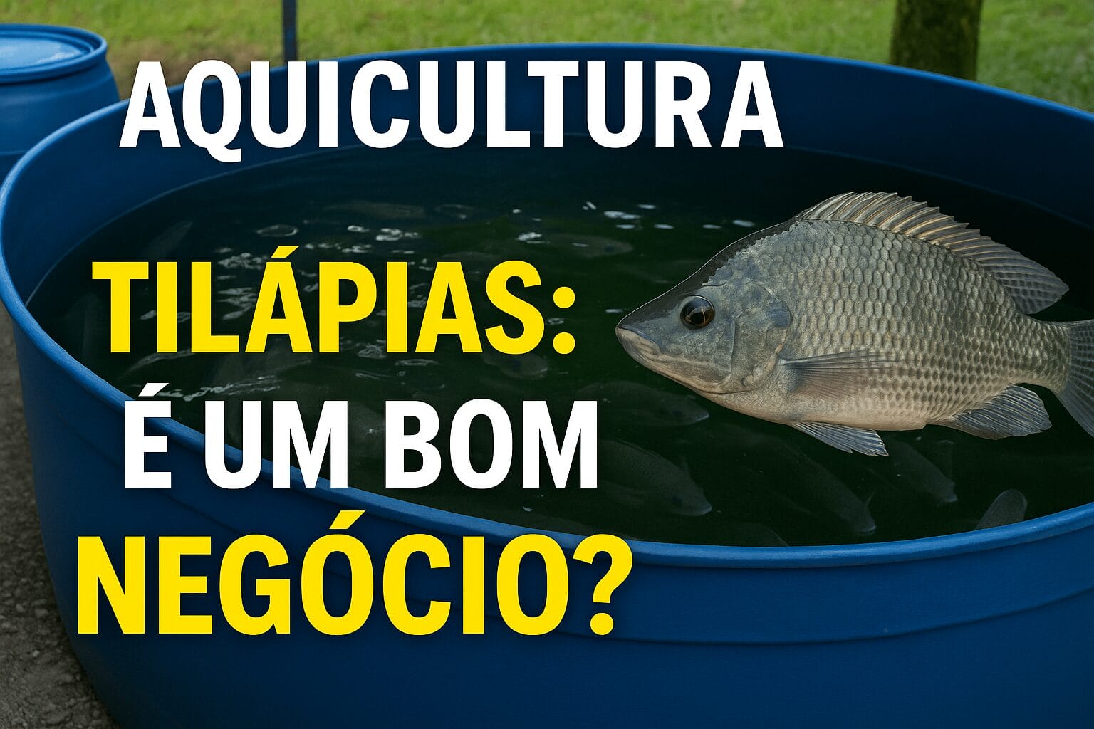 tilápias em caixa d’água, tilápias