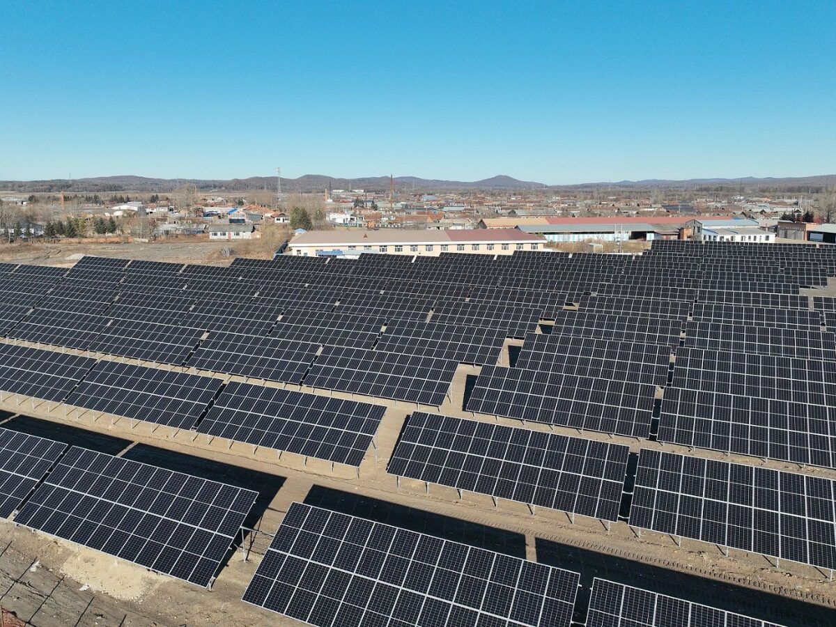 Módulos solares Horizon com tecnologia HPBC chegam ao Brasil através da parceria entre a LONGi e o Grupo Descarbonize.