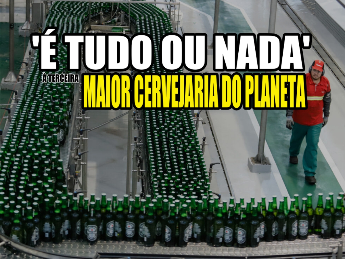 HEINEKEN - CERVEJA HEINEKEN - CERVEJARIA HEINEKEN - FÁBRICA HEINEKEN - PREÇO DA HEINEKEN