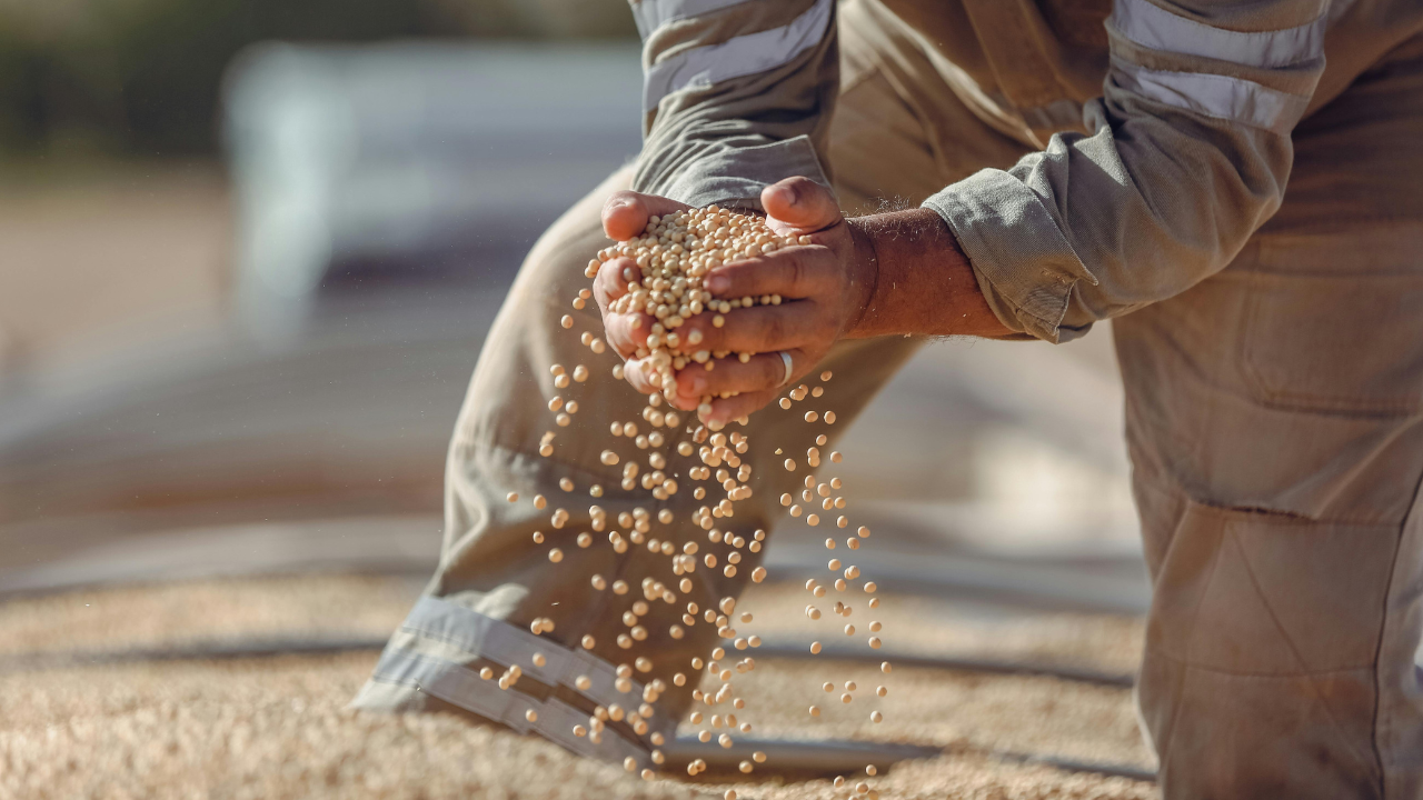 A Bunge está oferecendo 10 vagas de emprego temporárias para atuar como Safrista em Cascavel (PR), com salário e benefícios atrativos, e atuação em atividades operacionais.