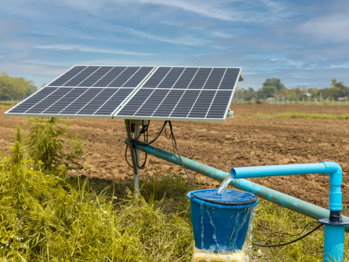 No semiárido do Piauí, instalação de placas solares ajudam centenas de famílias a plantar, criar animais e gastar menos com a conta de luz.