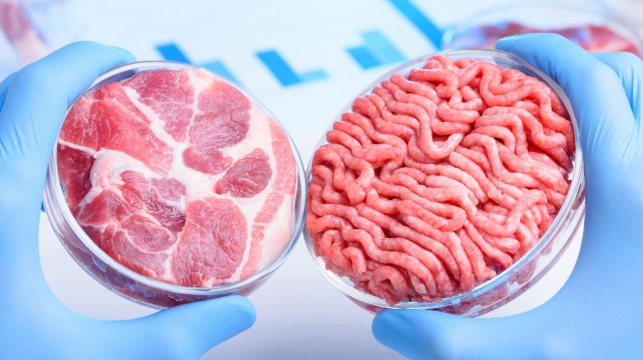 Carne feita em laboratório cresce no mundo e promete revolucionar o que comemos. Menos impacto, mais inovação e zero abate animal.v