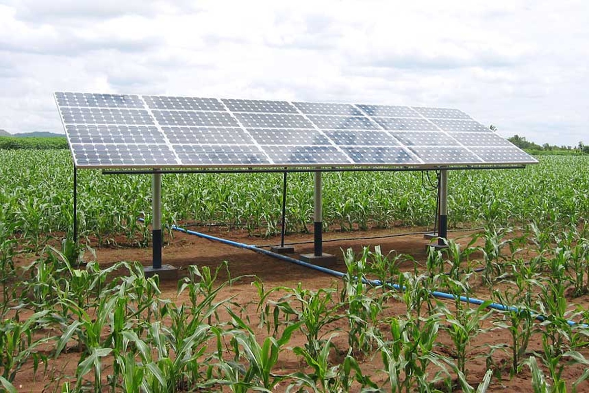 Painel solar em plantação de milho com sistema de irrigação