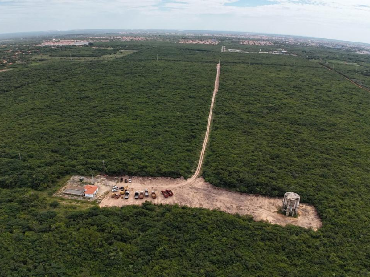 Maior usina de hidrogênio verde do mundo está sendo construída no Piauí, tornando o estado referência em energia limpa.