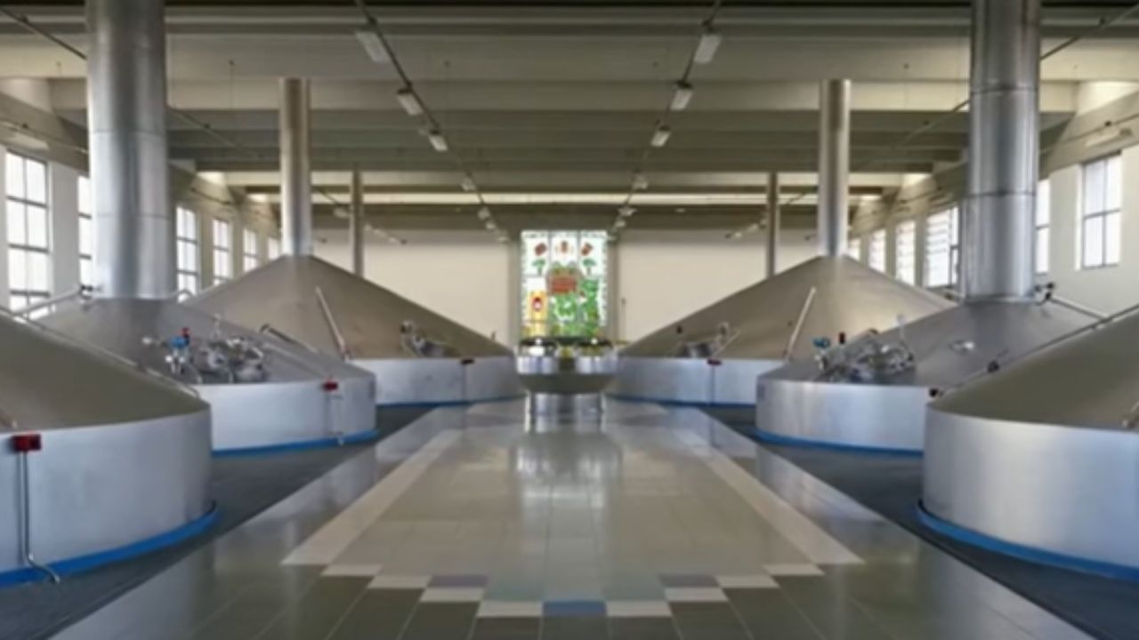 A história da Ambev começa em 1º de julho de 1999, com a fusão das duas maiores cervejarias do país, Brahma e Antarctica. Esse movimento estratégico deu origem à Companhia de Bebidas das Américas (Ambev), uma potência nacional criada com o objetivo de otimizar o mercado e construir uma plataforma para o crescimento. Liderada pela visão de gestão de Jorge Paulo Lemann, Marcel Herrmann Telles e Carlos Alberto Sicupira, a empresa aplicou um modelo de negócios focado em eficiência para transformar a cervejaria brasileira em uma força global.