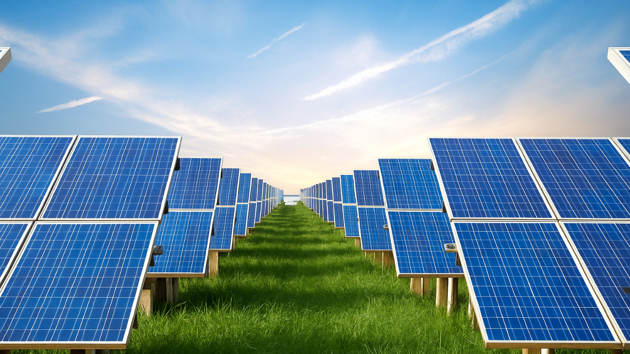 No Paraná, placas solares substituem plantações em áreas rurais, impulsionam geração de energia limpa e aumentam a renda de produtores no interior do estado.