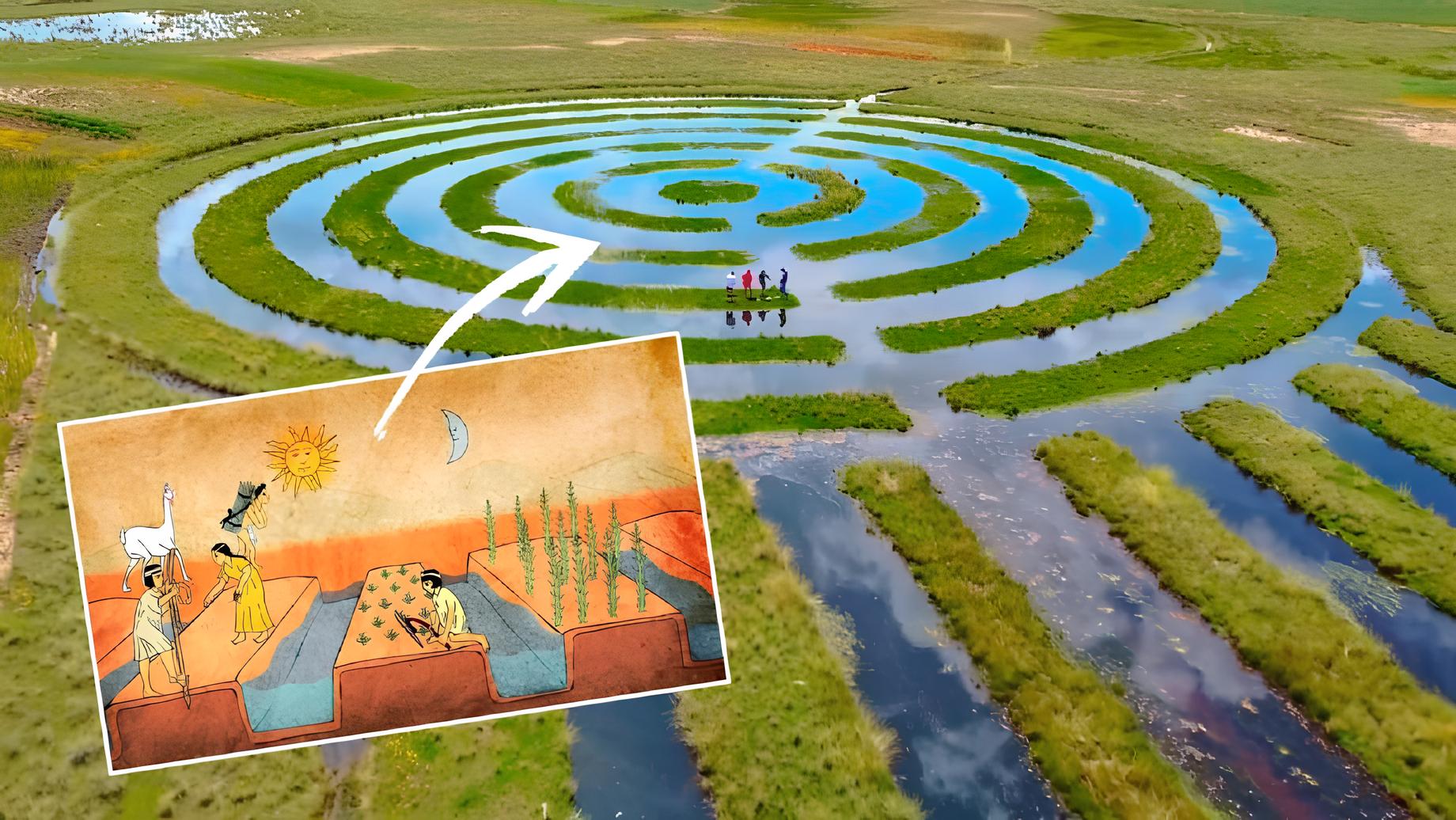 O país vizinho do Brasil que cultiva batatas sem trator, sem veneno e sem irrigação há séculos — e poderia salvar lavouras por aqui