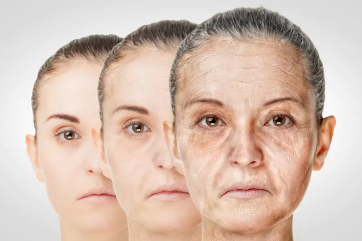 O código da longevidade: cientista afirma que falta apenas um passo para que os humanos vivam mais de mil anos