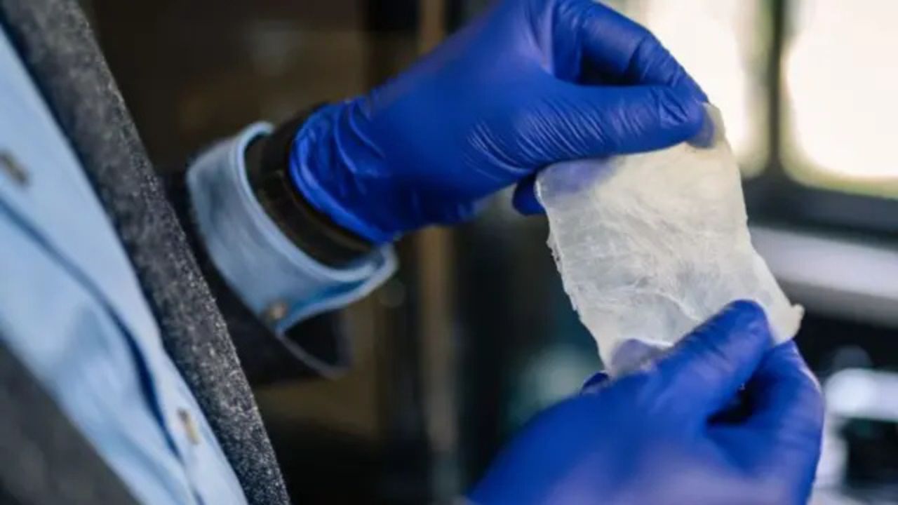 Adeus, plástico? Engenheiro dos EUA revela revolução sustentável com bactérias