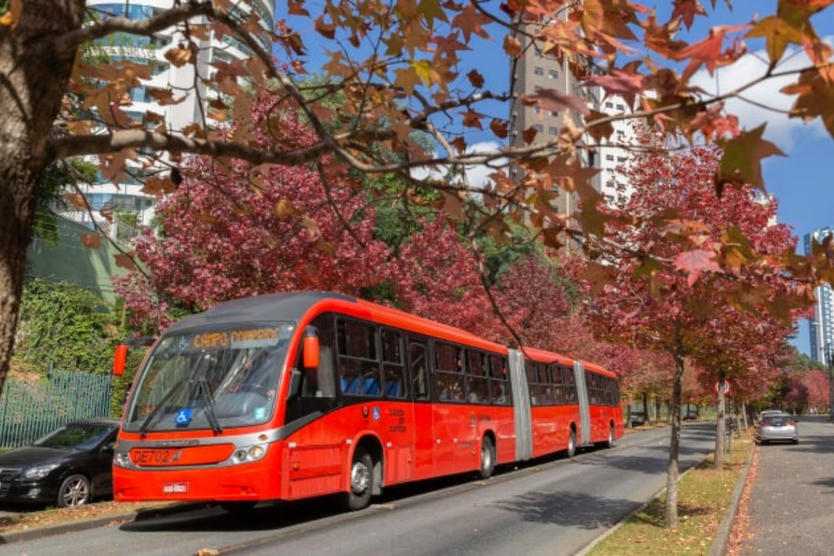 O Motor do Sul: Qual é a Verdadeira Maior Cidade Industrial da Região em 2025?