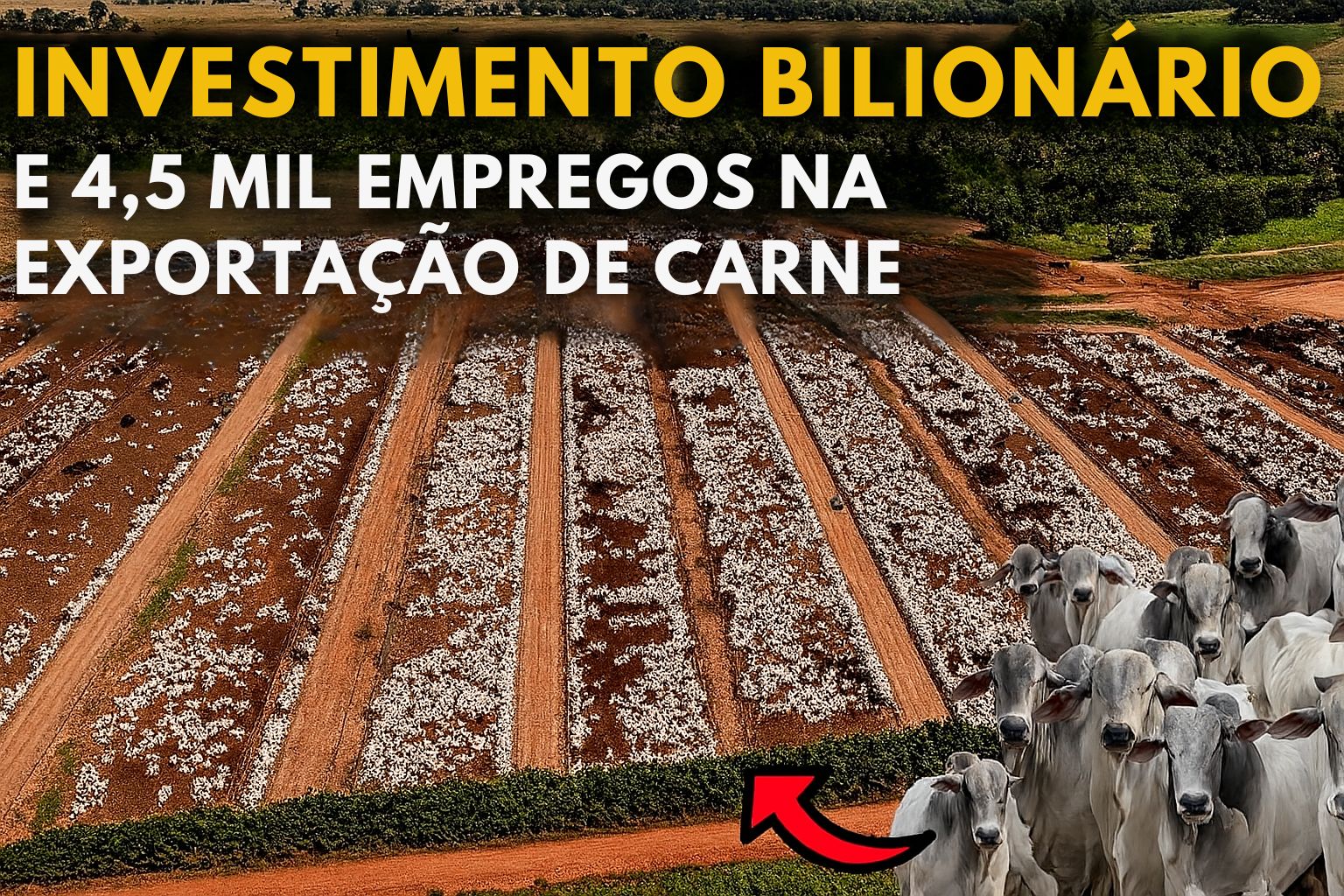 Com R$ 1,2 bilhão, Oeste da Bahia se prepara para virar centro global da carne — e mudar o mapa da pecuária brasileira