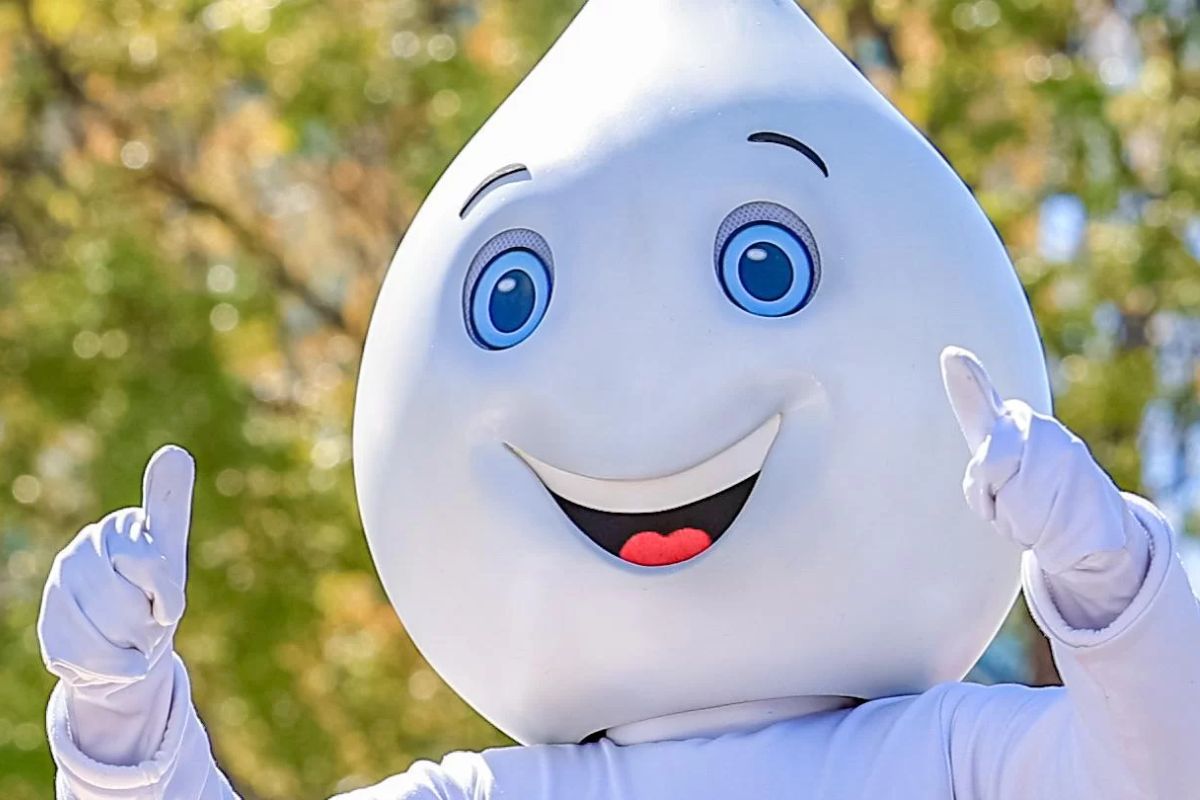 O Maior Sistema de Saúde Pública do Mundo: A História, a Escala e os Desafios do SUS no Brasil