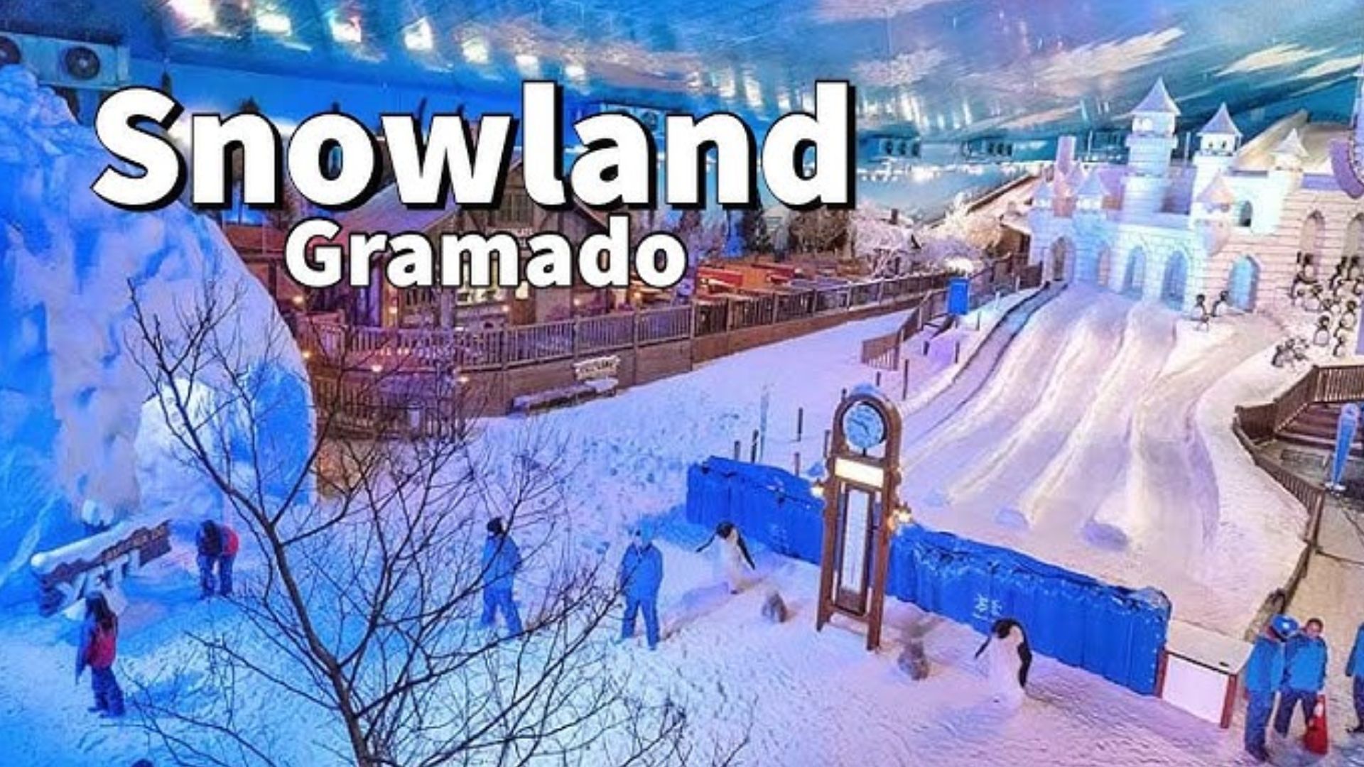 Descubra como o Parque Snowland em Gramado traz neve real ao Brasil o ano todo, com atrações de inverno para toda a família.