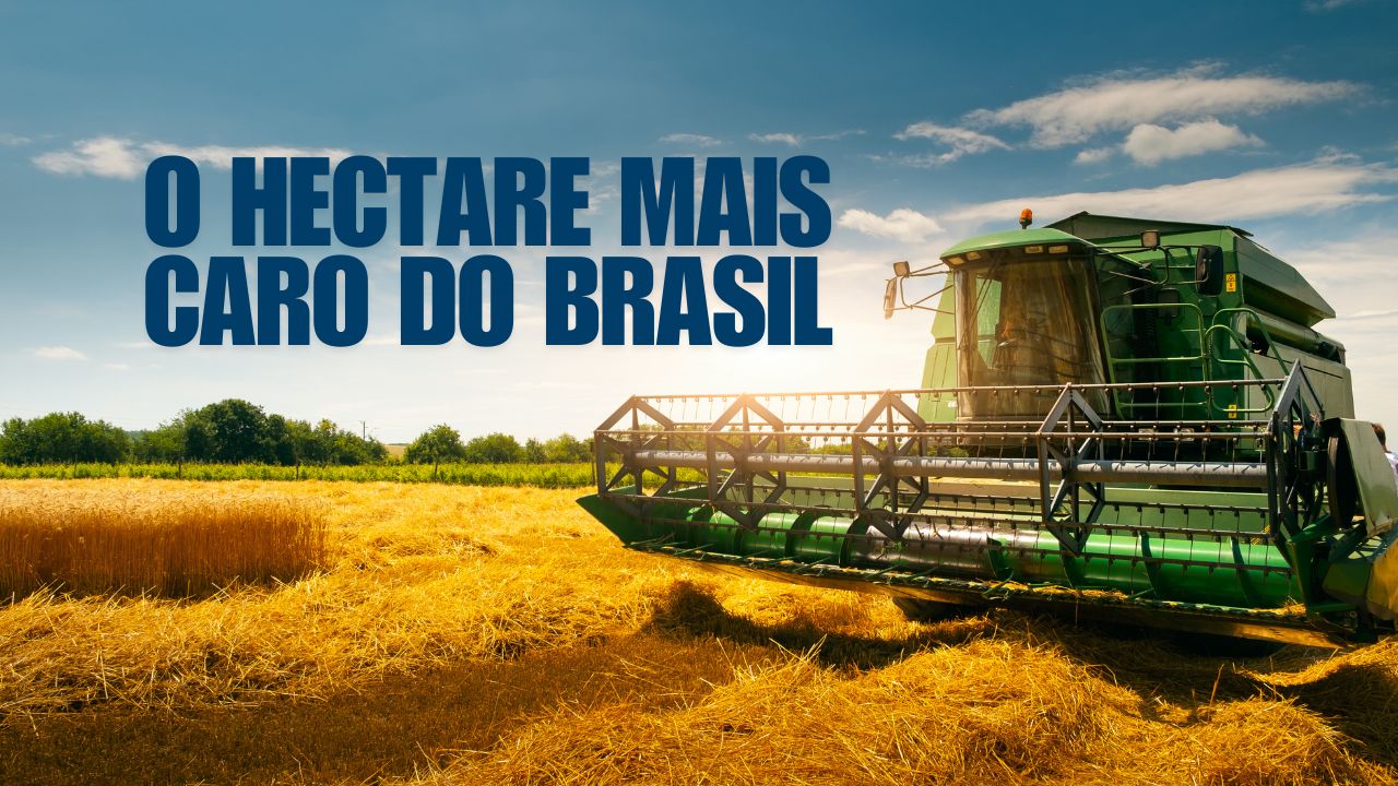Maringá lidera o ranking das terras agrícolas mais caras do Paraná, com hectare avaliado, em média, em R$ 185,4 mil. Valor deve impactar fortemente o mercado imobiliário regional.