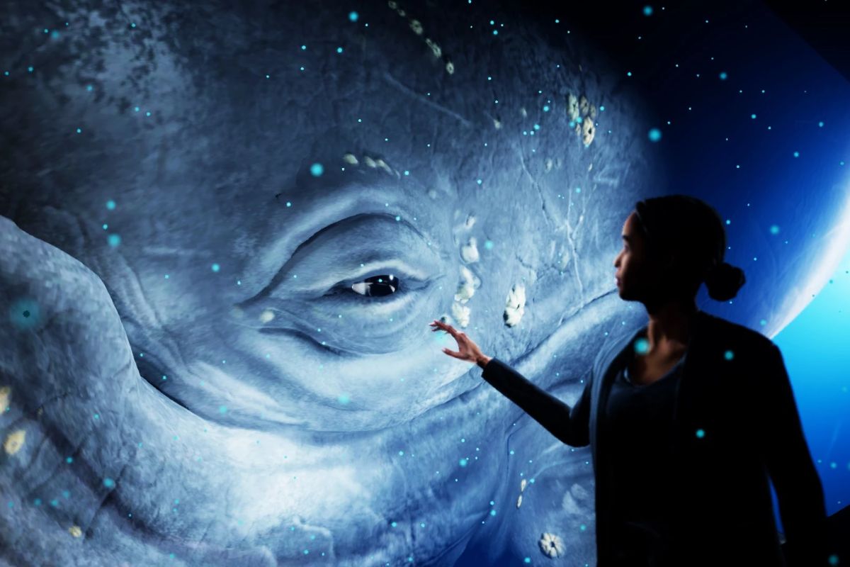 Hologram Zoo: A Incrível Atração com Animais Selvagens em Hologramas que Está Encantando o Mundo