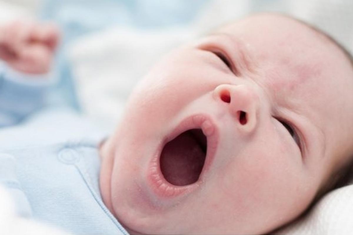 Por que Bocejamos Quando Alguém Boceja? A Ciência por Trás do Bocejo Contagioso