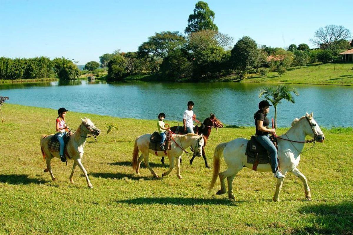 Qual é o maior hotel fazenda do Brasil? A resposta não é a que você espera