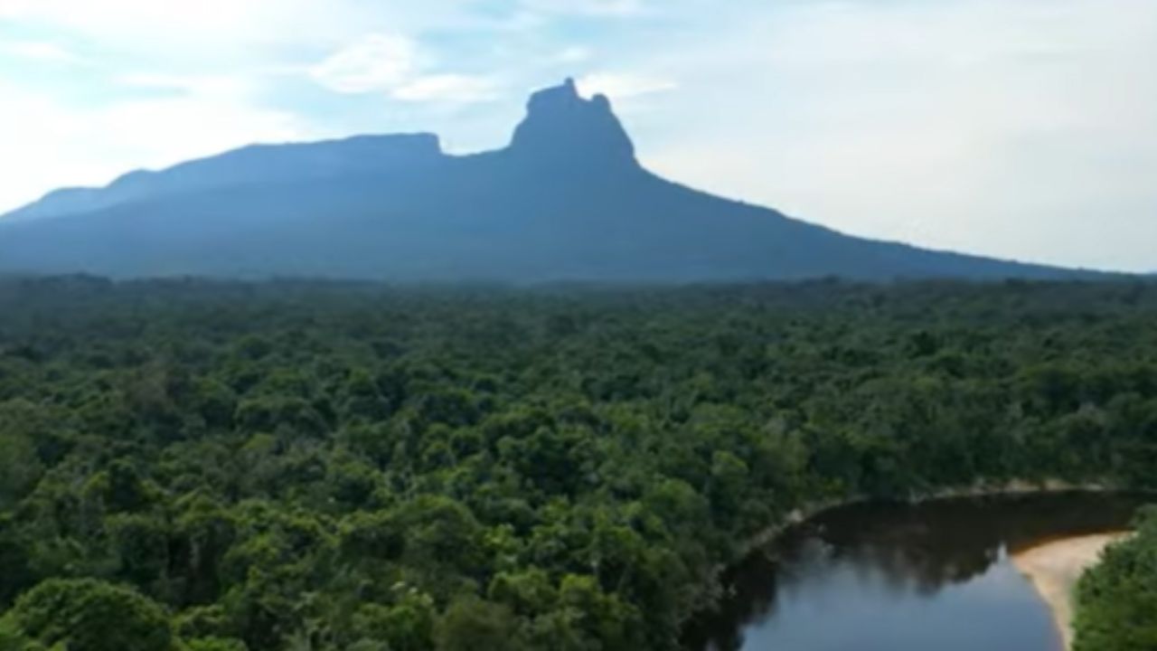 O ponto mais alto do Brasil que poucos podem visitar: o Pico da Neblina é um desafio para a ciência e um símbolo da luta pela preservação da Amazônia
