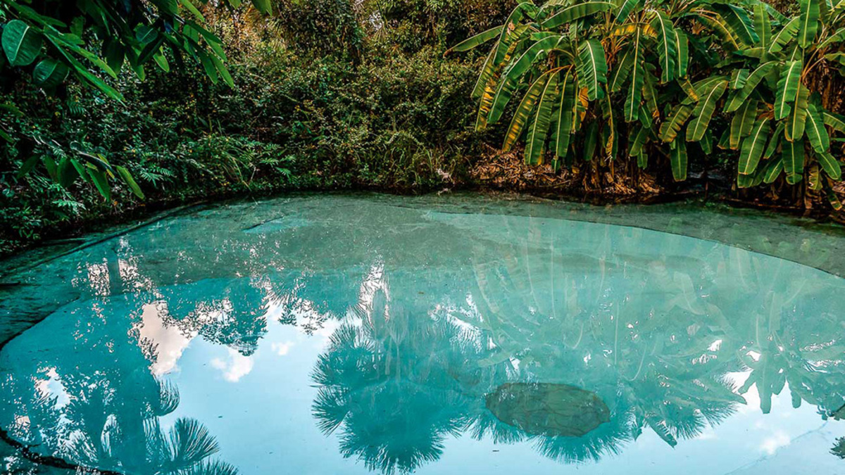 Novo aeroporto em Tocantins pretende facilitar viagens ao Jalapão. Com obras quase prontas, a atração promete transformar o turismo local!