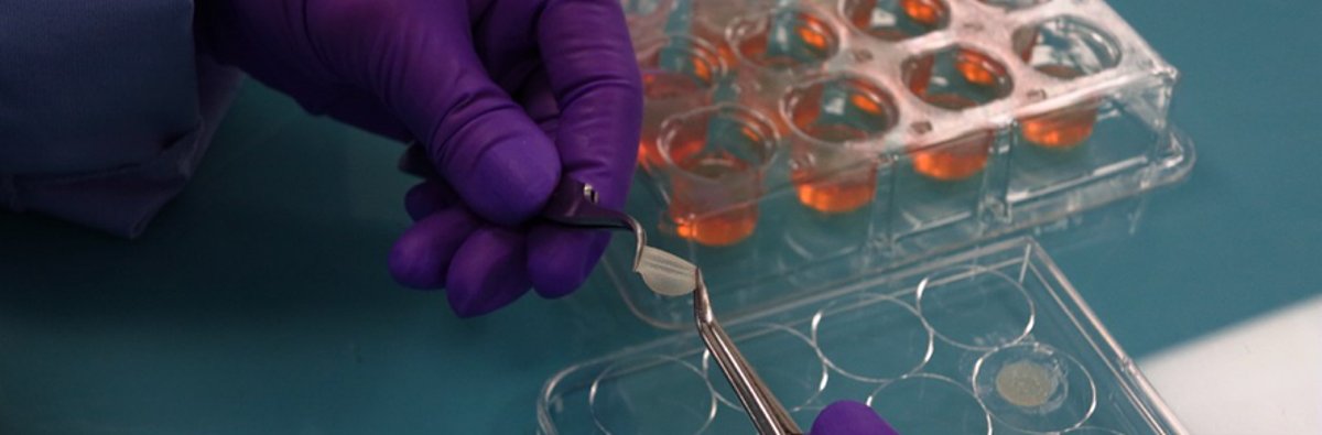 pele, episkin, L’Oréal, testes