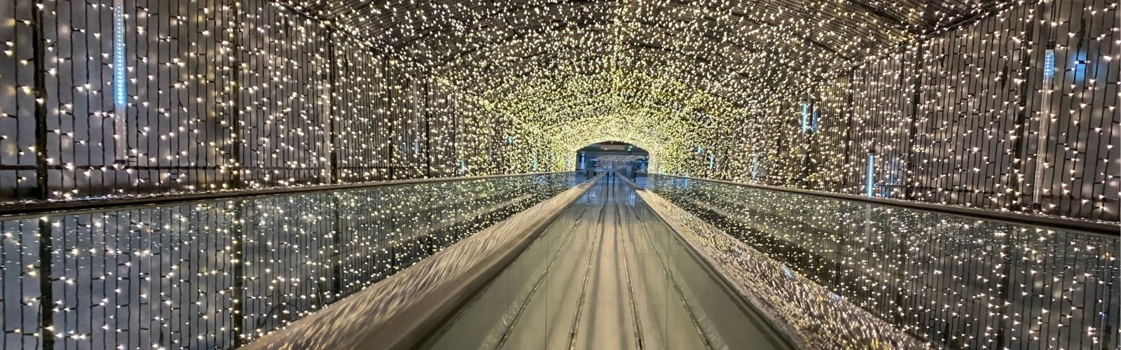 O túnel das luzes que virou tradição Curitiba encanta com mais de 1 milhão de lâmpadas e transforma a cidade em cenário de conto de fadas