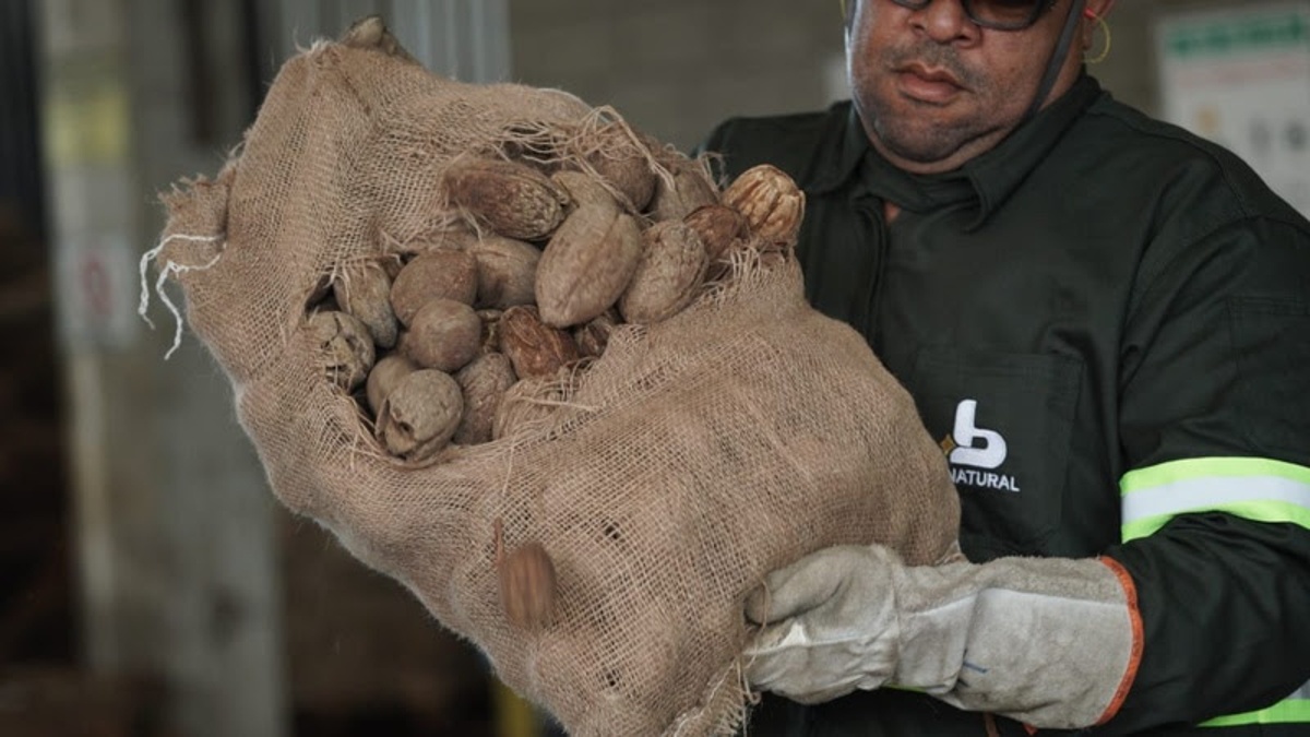 Trabalhador segura saco de coco em ambiente industrial com luvas e uniforme de segurança