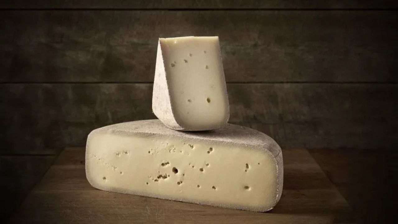 Exportação histórica do queijo brasileiro que venceu barreiras para chegar aos EUA