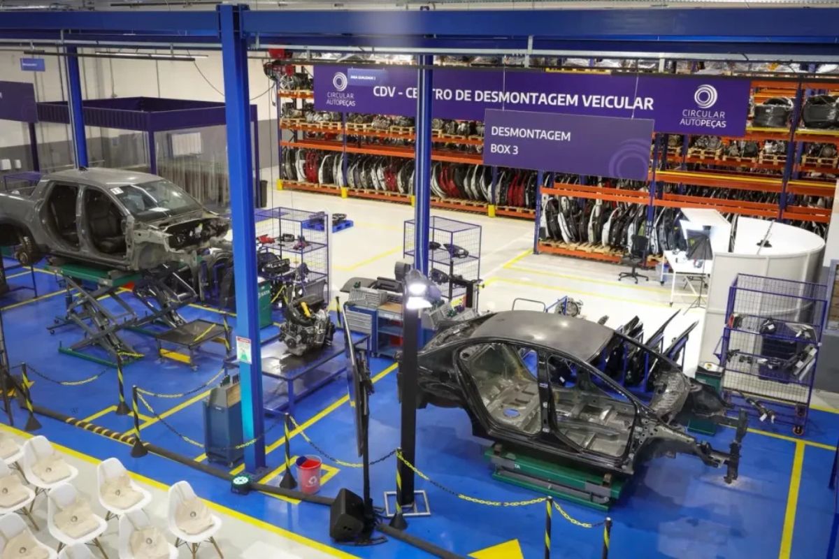 Stellantis, dona da Fiat e Jeep, compra lotes inteiros em Minas Gerais, desmonta carros avaliados em R$30 mil e levanta temor entre pequenos empresários