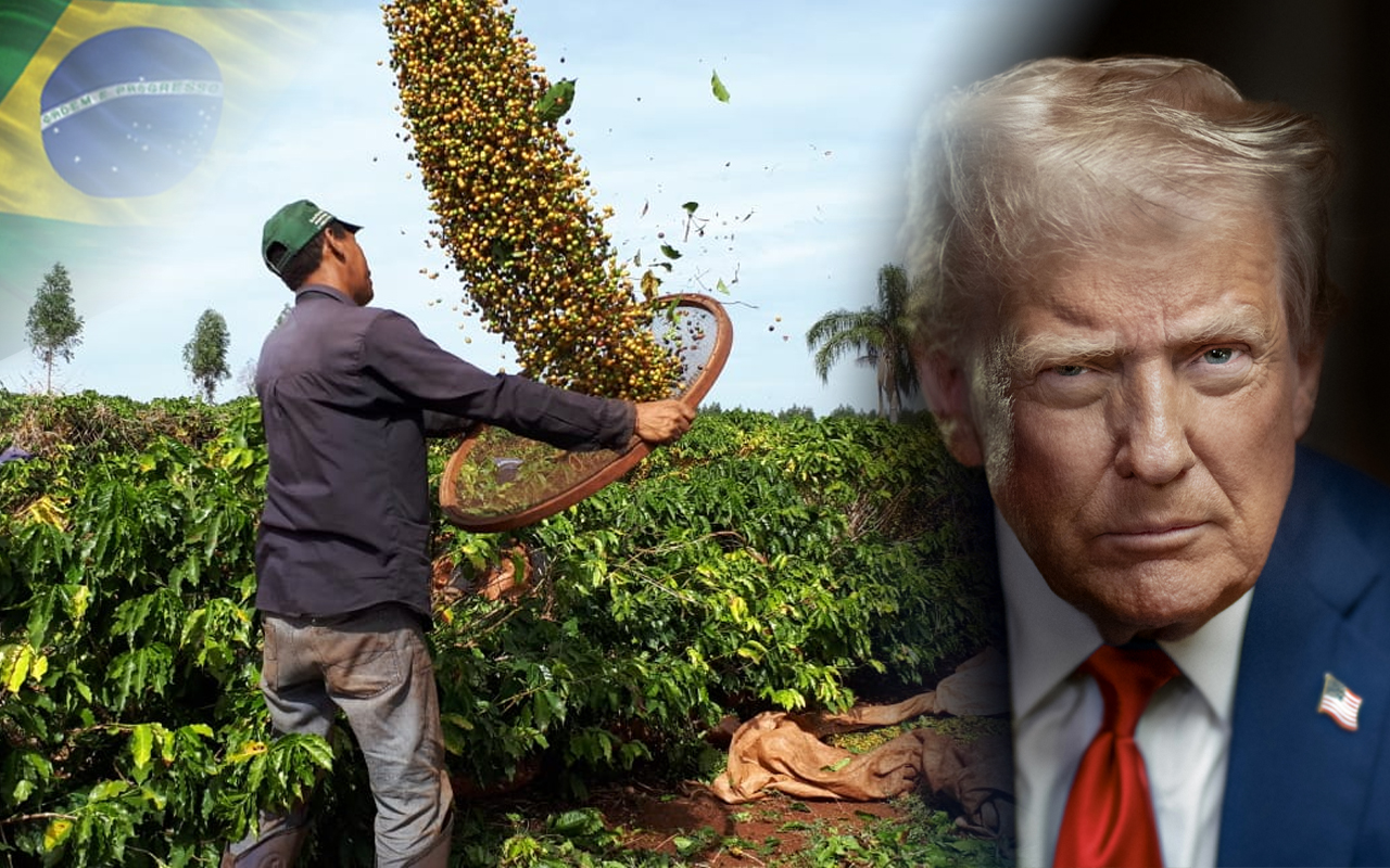 Tarifa de 50% dos EUA no café do Brasil pode tirar dos americanos um negócio de US$ 343 bilhões, alerta setor