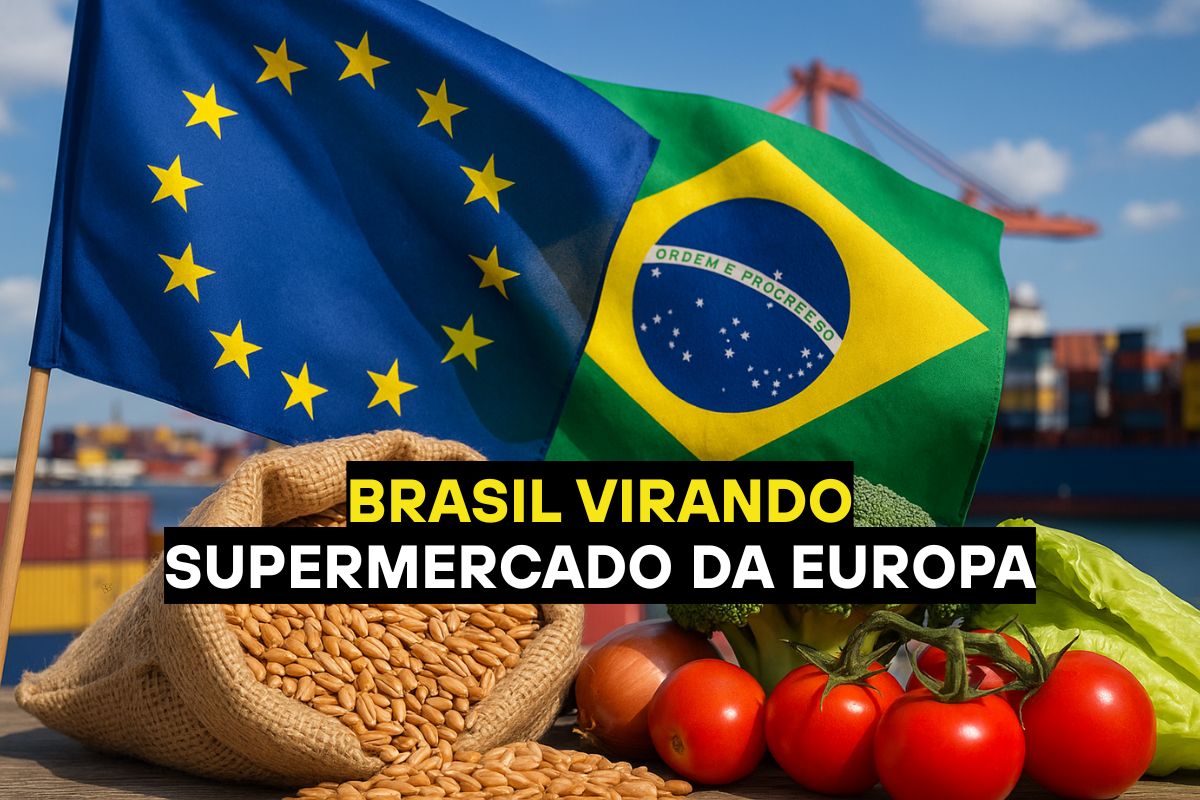 O acordo União Europeia–Mercosul elimina tarifas em 91% dos produtos, tornando o Brasil fornecedor estratégico de alimentos e ampliando exportações agrícolas globais.