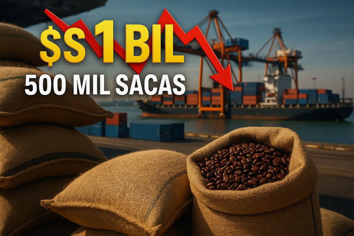 País perde R$ 1 bilhão por gargalos no Porto de Santos e atrasos na saída de navios