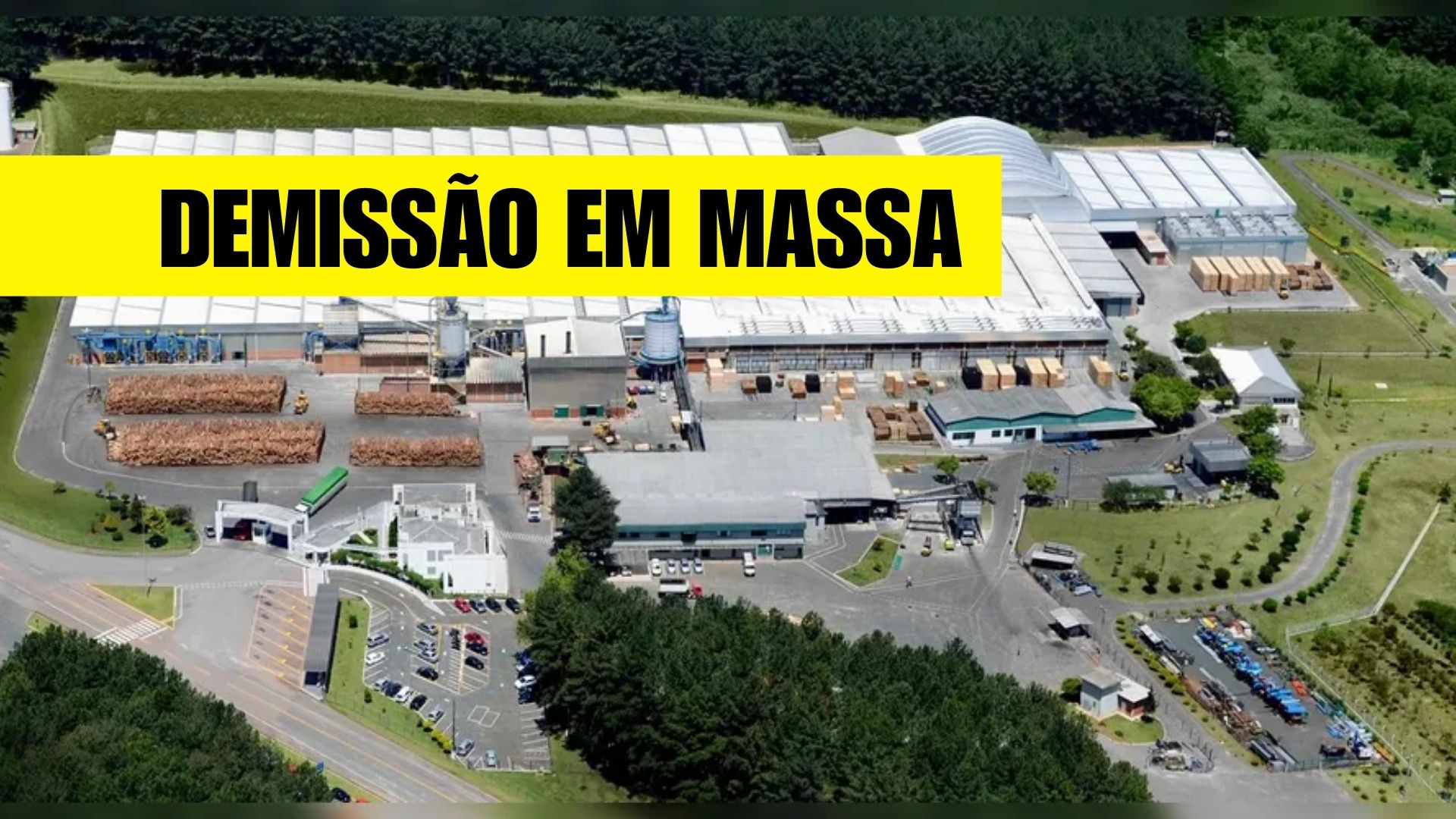 BrasPine demite 400 trabalhadores no Paraná após tarifas dos EUA. Crise afeta setor madeireiro e expõe dependência das exportações.