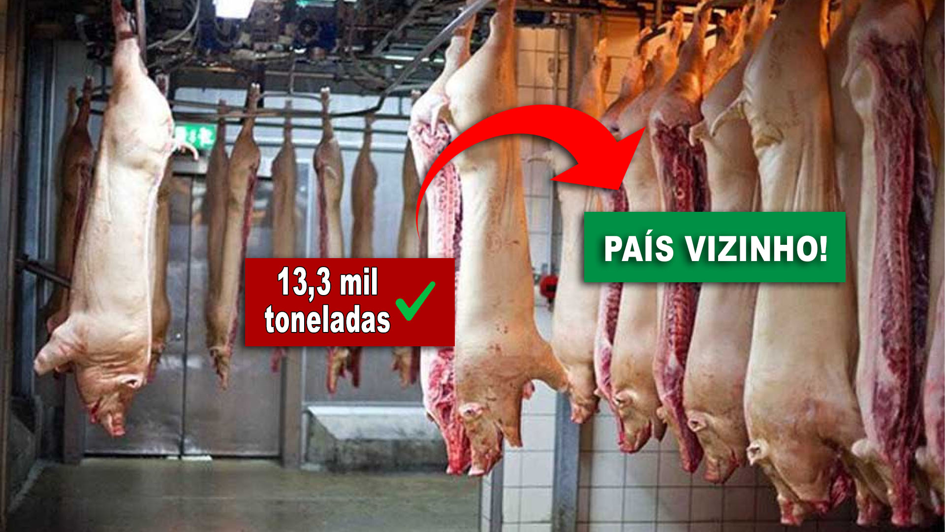 País vizinho desbanca China e assume 2º lugar nas exportações de carne suína do Brasil no mês de agosto com 13,3 mil toneladas