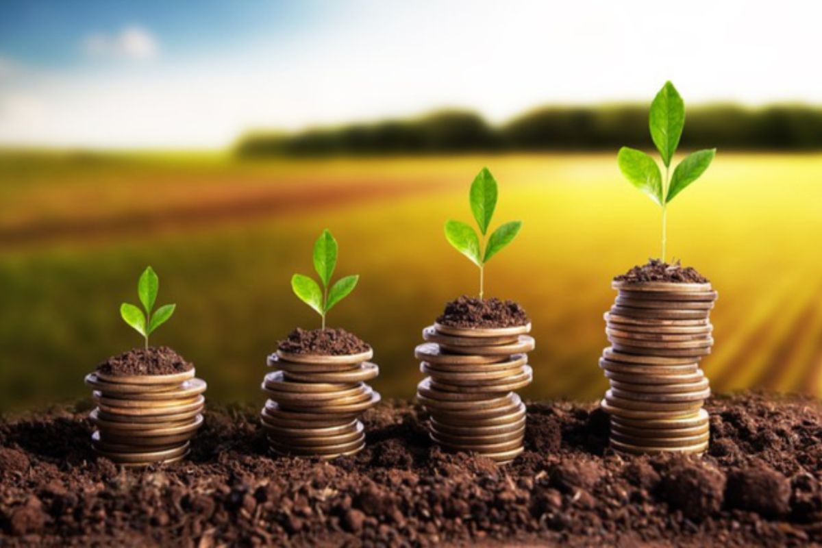 O desembolso rural é quanto do dinheiro anunciado pelo governo realmente chega ao campo para apoiar os produtores.