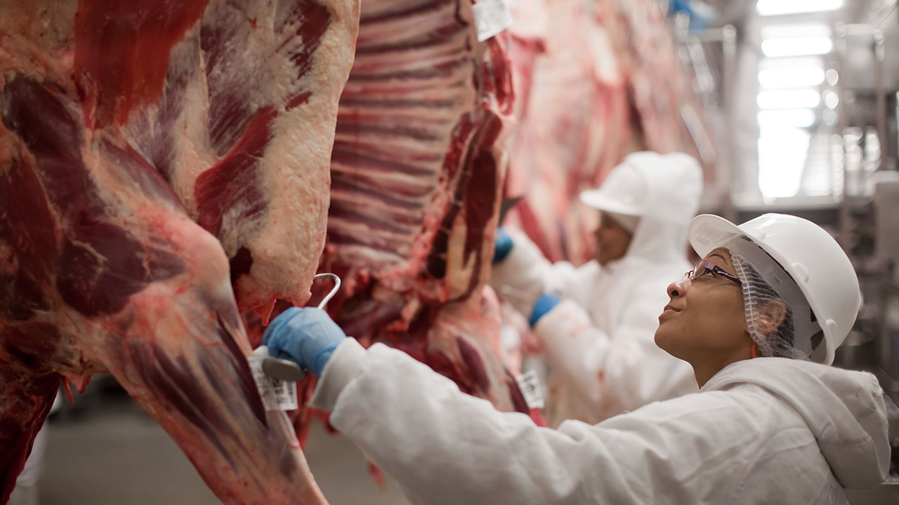 Até o final de 2025, os preços da carne bovina no Brasil devem se manter estáveis, impulsionados pela demanda interna e externa. Entenda as projeções do mercado e os desafios para os confinadores no próximo ano.
