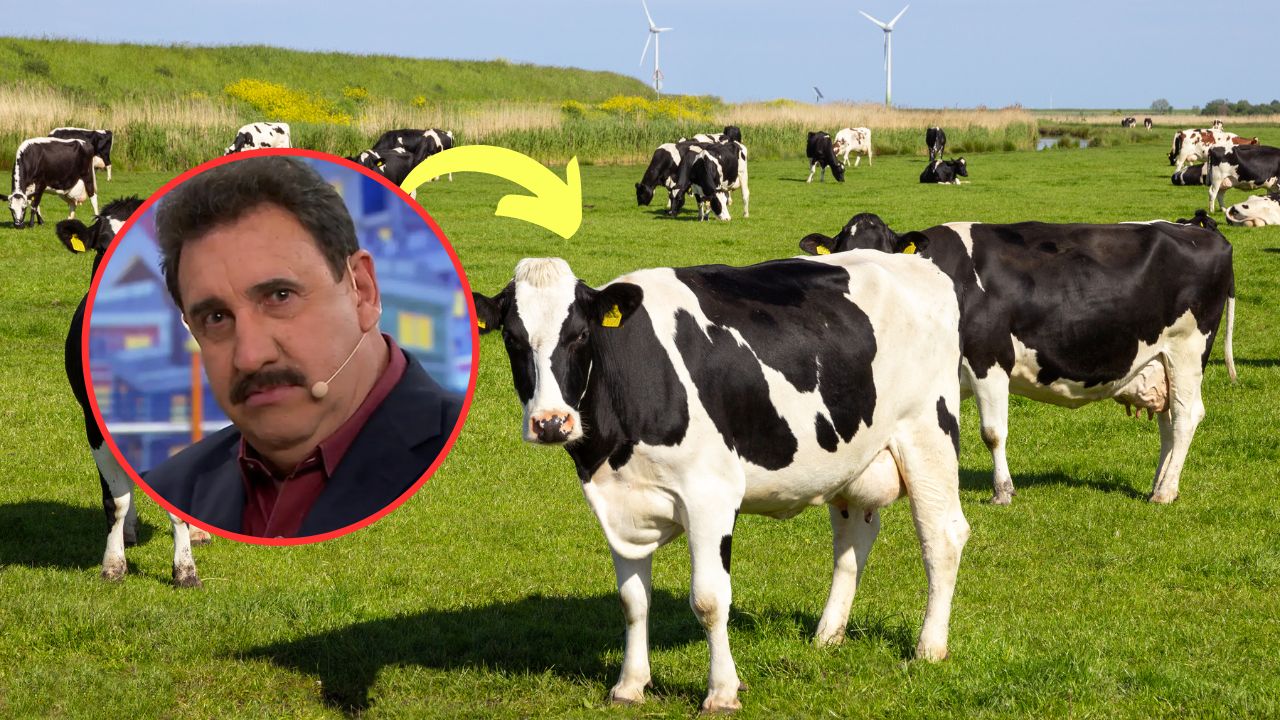 Ratinho revela por que decidiu diminuir a criação de gado em suas fazendas e investir em culturas como soja, milho e café, destacando desafios no mercado e no Brasil.