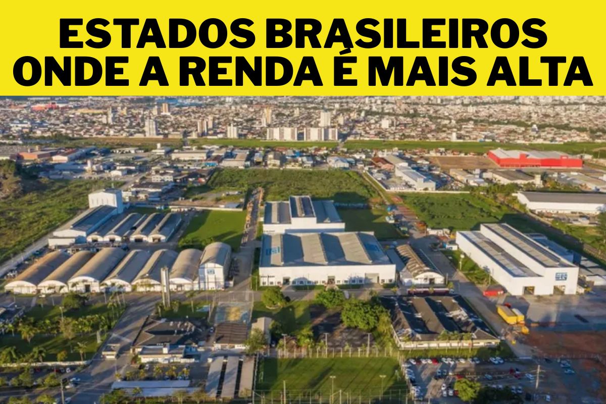 Descubra quais estados brasileiros lideram os salários médios e o rendimento médio no país, impulsionados pela inovação, pelos empregos de alta renda e pela força da economia brasileira.