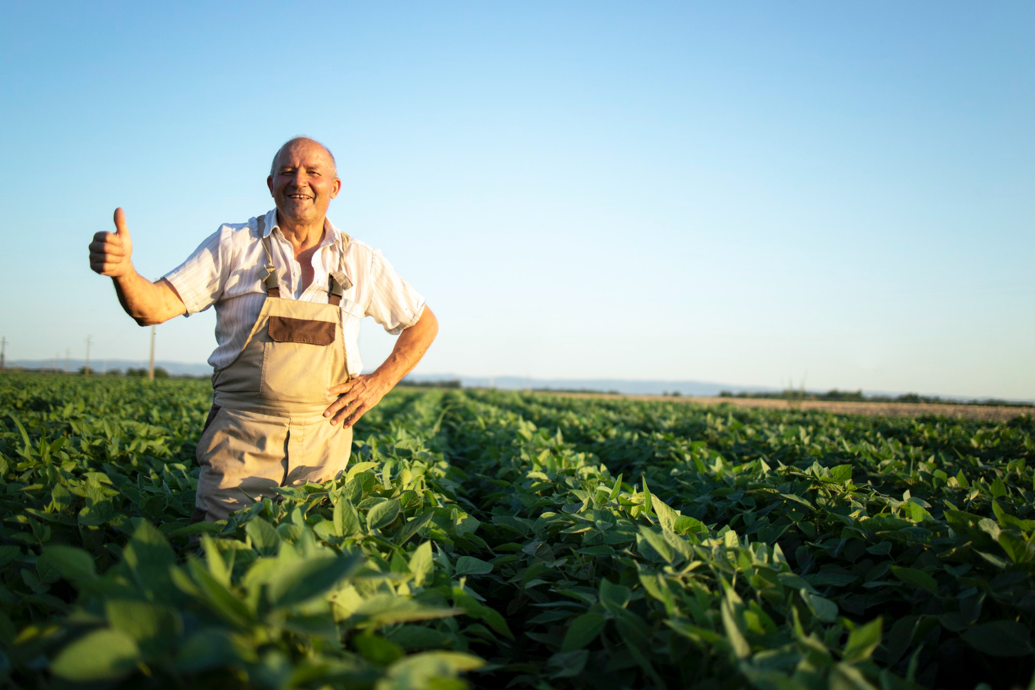 Com suporte da Conab, pequenos produtores do Mato Grosso comercializam 22 toneladas de alimentos, fortalecendo agricultura familiar no Mato Grosso e promovendo segurança alimentar e nutricional para comunidades vulneráveis