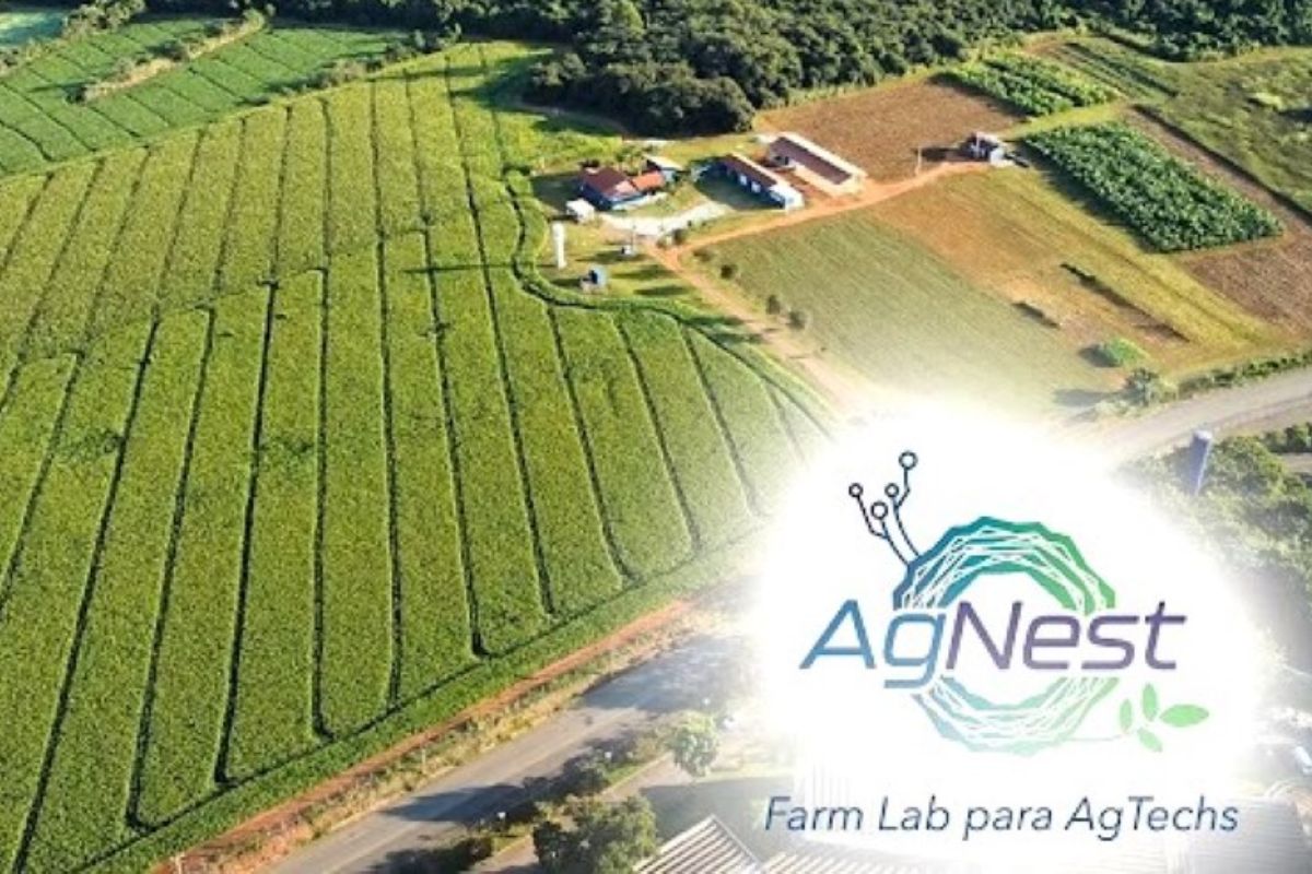 O Agronegócio em São Paulo está ganhando um novo impulso com a parceria firmada entre o Sebrae-SP e o AgNest