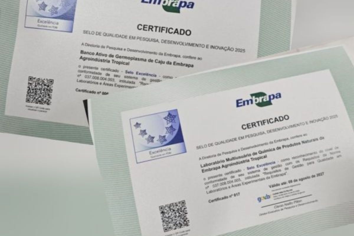 A Embrapa Agroindústria Tropical reafirmou sua liderança nacional em pesquisa agroindustrial ao conquistar dois Selos de Excelência em Qualidade em Pesquisa, Desenvolvimento e Inovação (PD&I)