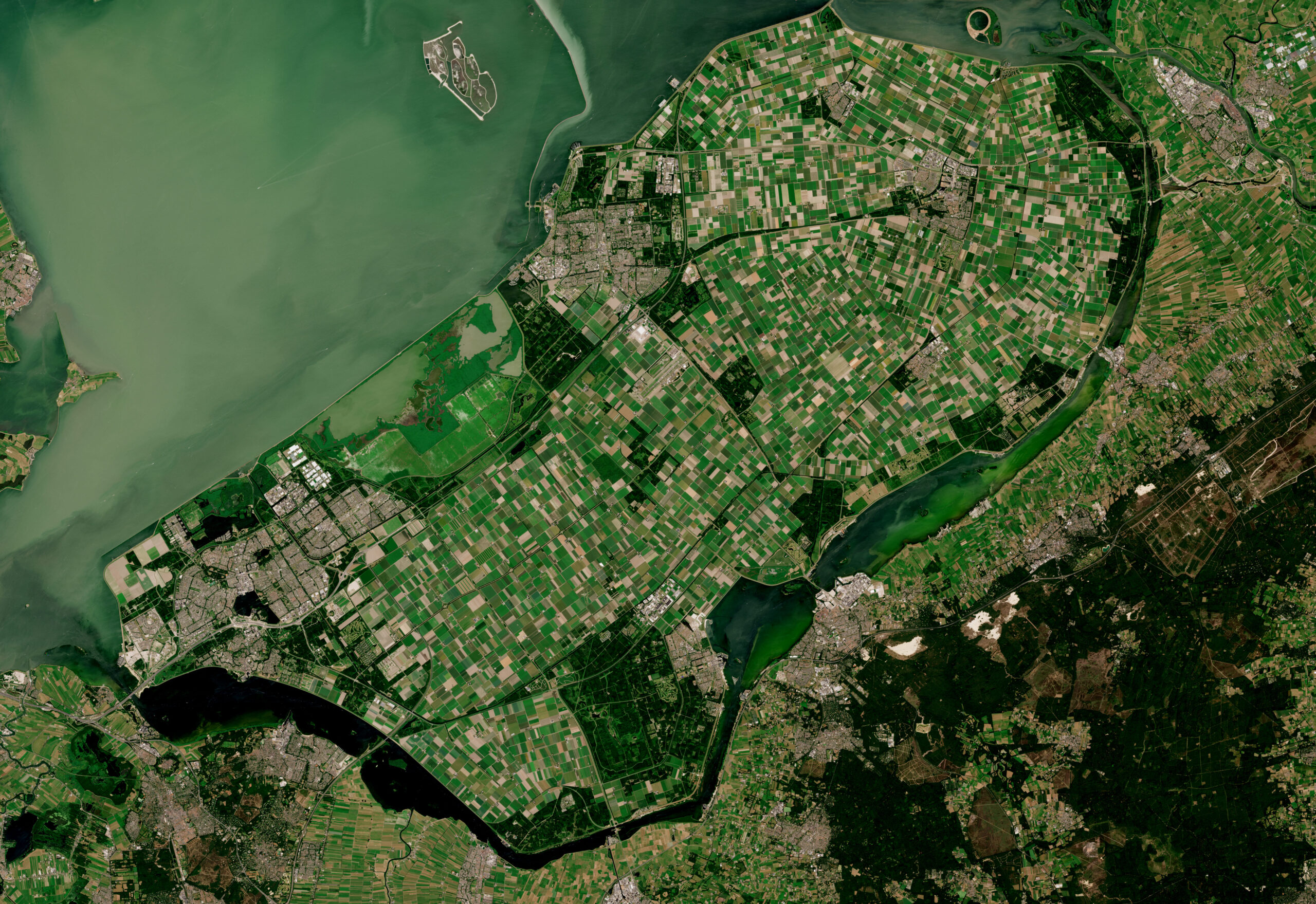 Com 970 km² e tamanho superior a Paris e Belo Horizonte combinadas, a maior ilha artificial do planeta foi construída do zero e substituiu o mar por cidades, estradas e fazendas