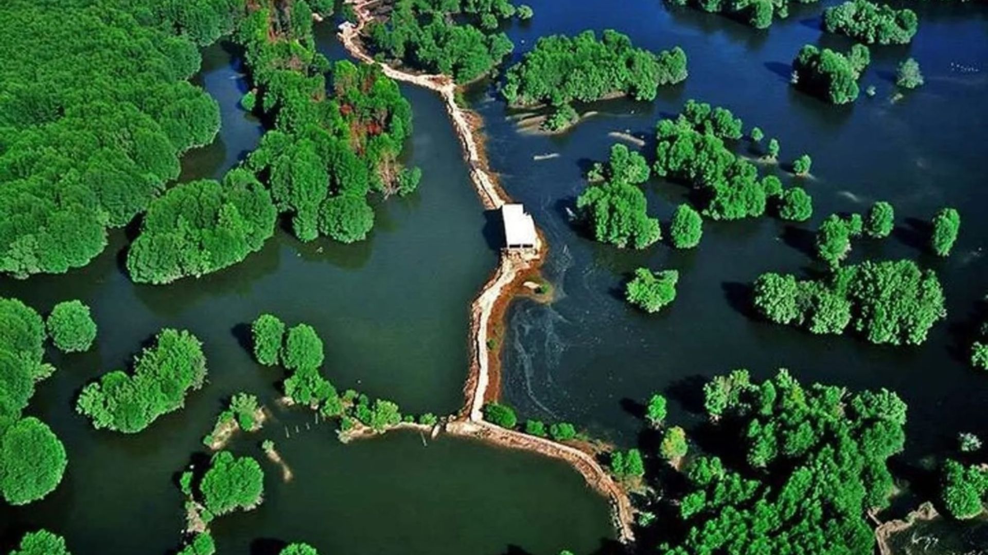 O manguezal de Cần Giờ, em Ho Chi Minh, protege milhões de pessoas de tempestades e enfrenta pressões de megaprojetos urbanos.