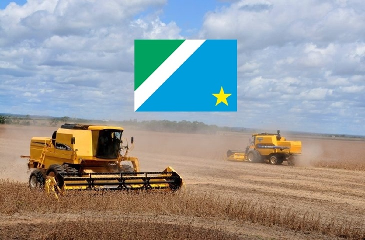 Mato Grosso do Sul exporta US$ 7,5 bilhões em 2024, alcança 120 países e fortalece sua posição no comércio agroindustrial global.